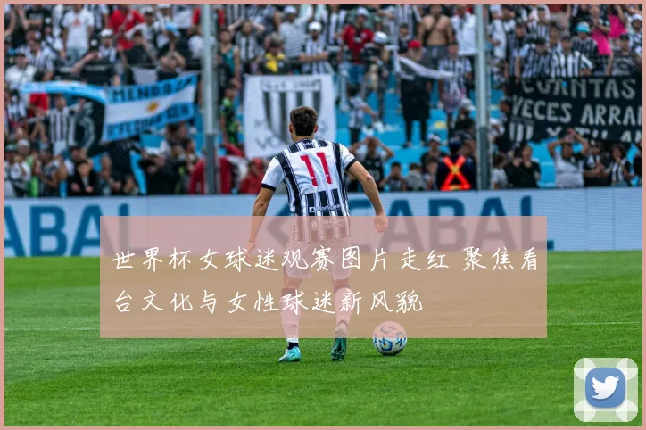 世界杯女球迷观赛图片走红 聚焦看台文化与女性球迷新风貌