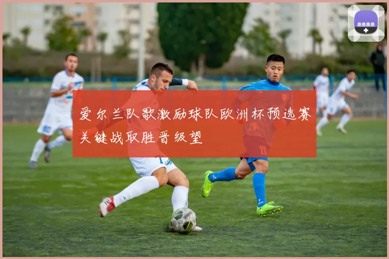 爱尔兰队歌激励球队欧洲杯预选赛关键战取胜晋级望