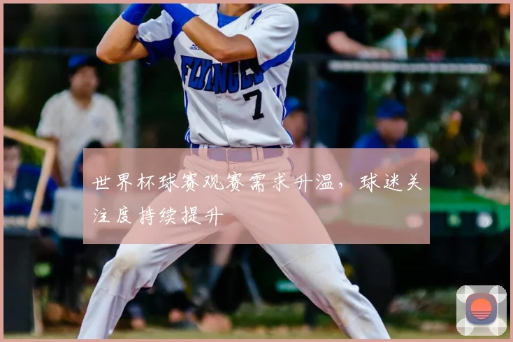世界杯球赛观赛需求升温，球迷关注度持续提升